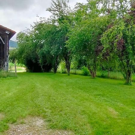 Superbe Demeure Au Coeur Des Pyrenees Ariegeoises Villa Montels  Exteriör bild